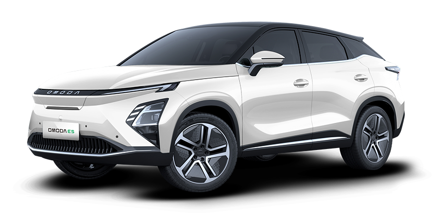 White Howlite Two-Tone